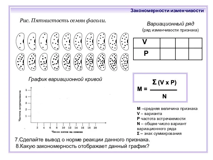 Рис. Пятнистость семян фасоли. График вариационной кривой Вариационный ряд (ряд изменчивости признака)