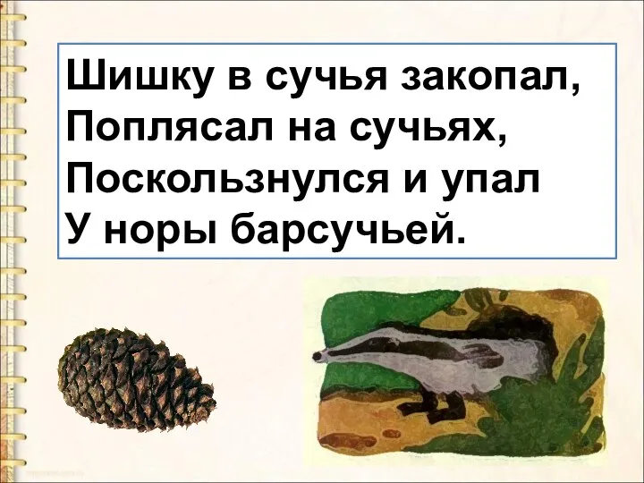 Шишку в сучья закопал, Поплясал на сучьях, Поскользнулся и упал У норы барсучьей.