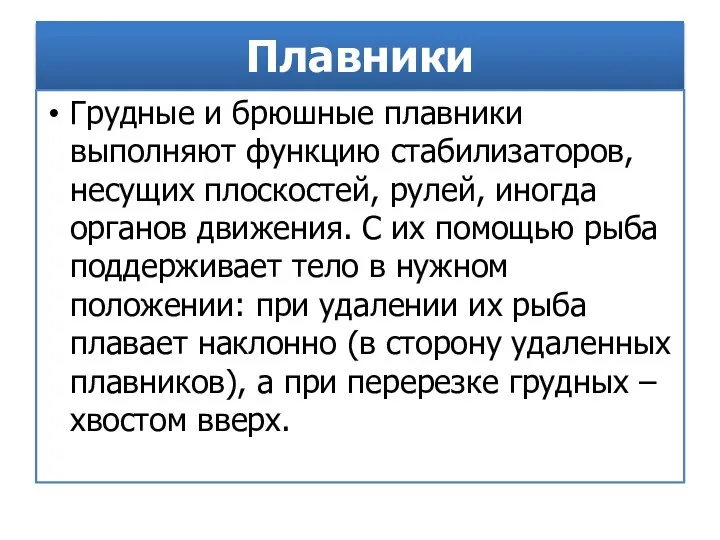 Плавники Грудные и брюшные плавники выполняют функцию стабилизаторов, несущих плоскостей, рулей, иногда