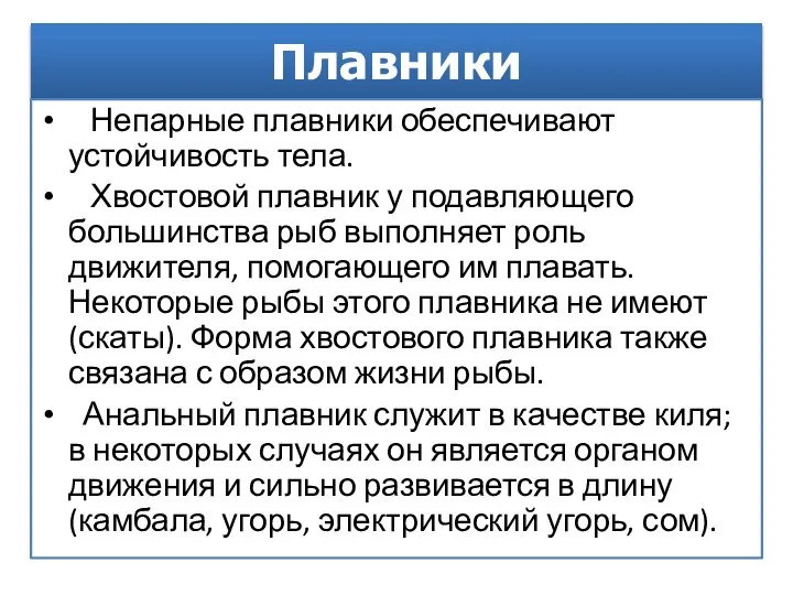 Плавники Непарные плавники обеспечивают устойчивость тела. Хвостовой плавник у подавляющего большинства рыб