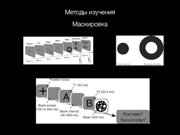 Методы изучения Маскировка