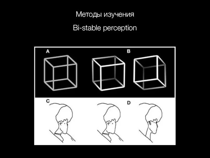 Методы изучения Bi-stable perception