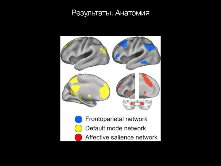 Результаты. Анатомия