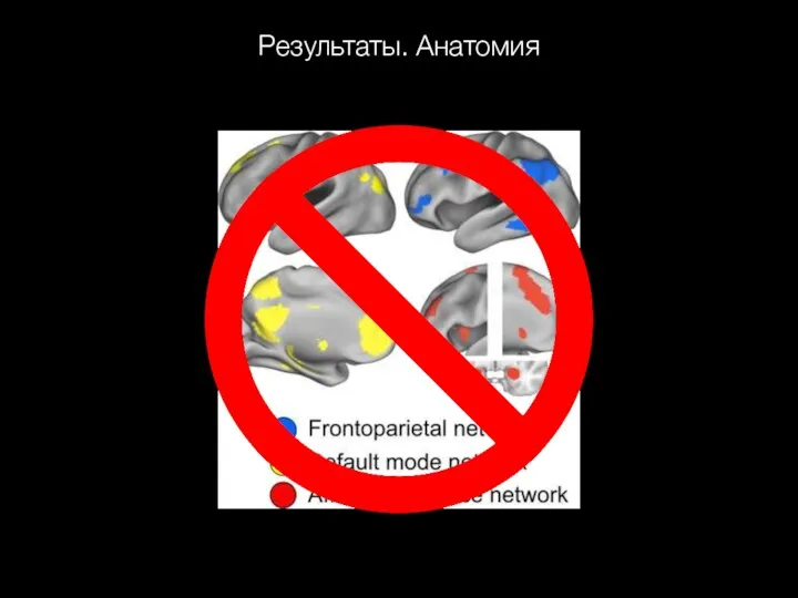 Результаты. Анатомия