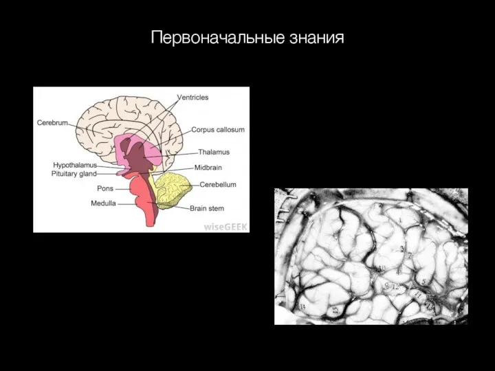 Первоначальные знания