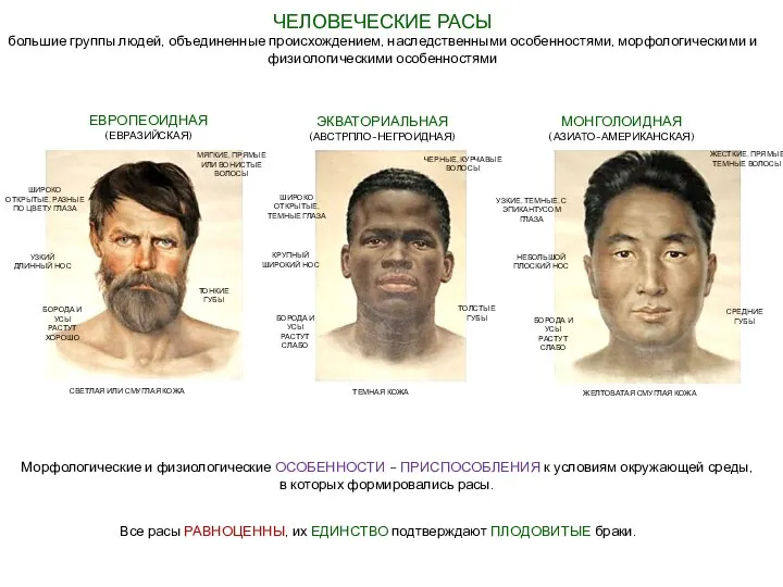 ЧЕЛОВЕЧЕСКИЕ РАСЫ большие группы людей, объединенные происхождением, наследственными особенностями, морфологическими и физиологическими