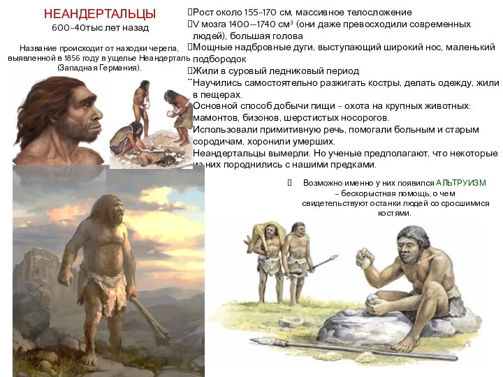 Рост около 155-170 см, массивное телосложение V мозга 1400—1740 см³ (они даже