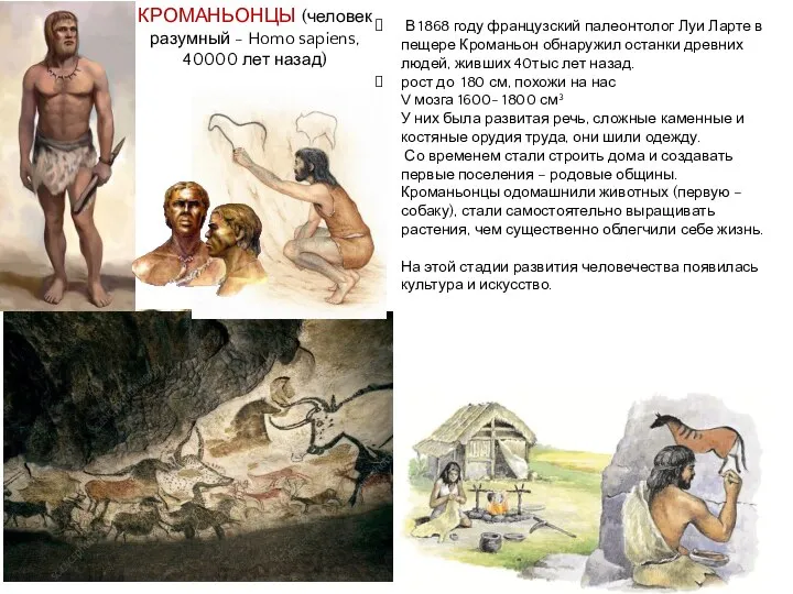 КРОМАНЬОНЦЫ (человек разумный - Homo sapiens, 40000 лет назад) В 1868 году