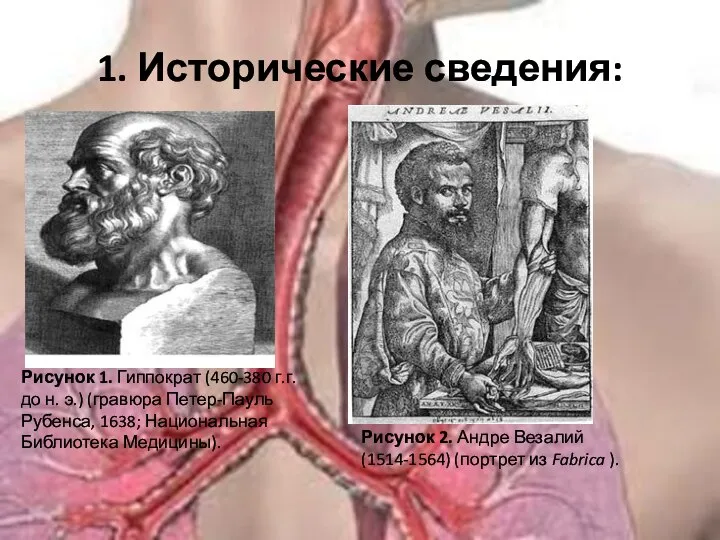 1. Исторические сведения: Рисунок 1. Гиппократ (460-380 г.г. до н. э.) (гравюра