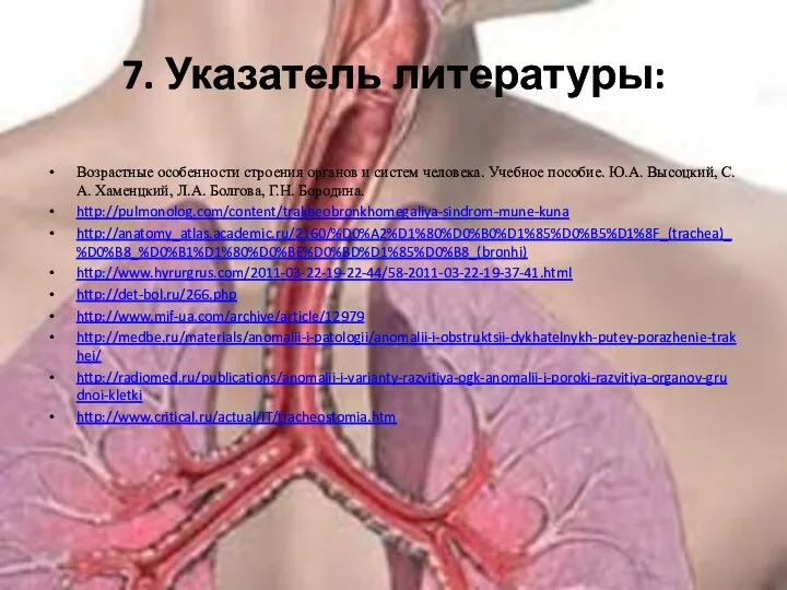 7. Указатель литературы: Возрастные особенности строения органов и систем человека. Учебное пособие.