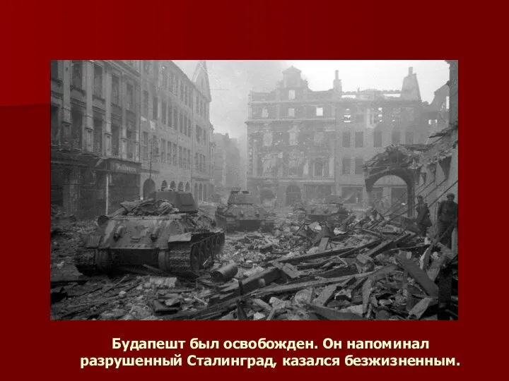 Будапешт был освобожден. Он напоминал разрушенный Сталинград, казался безжизненным.