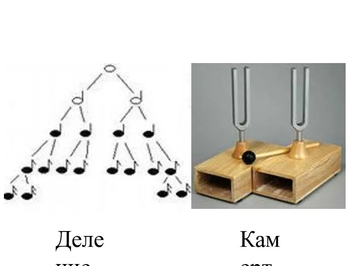 Деление нот Камертон