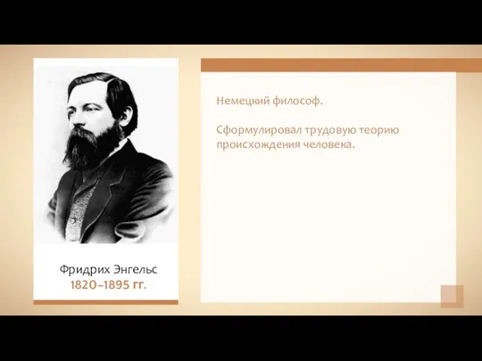 Немецкий философ. Сформулировал трудовую теорию происхождения человека. Фридрих Энгельс 1820–1895 гг.