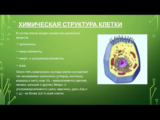 ХИМИЧЕСКАЯ СТРУКТУРА КЛЕТКИ В состав клетки входит множество различных веществ: органогены; макроэлементы;