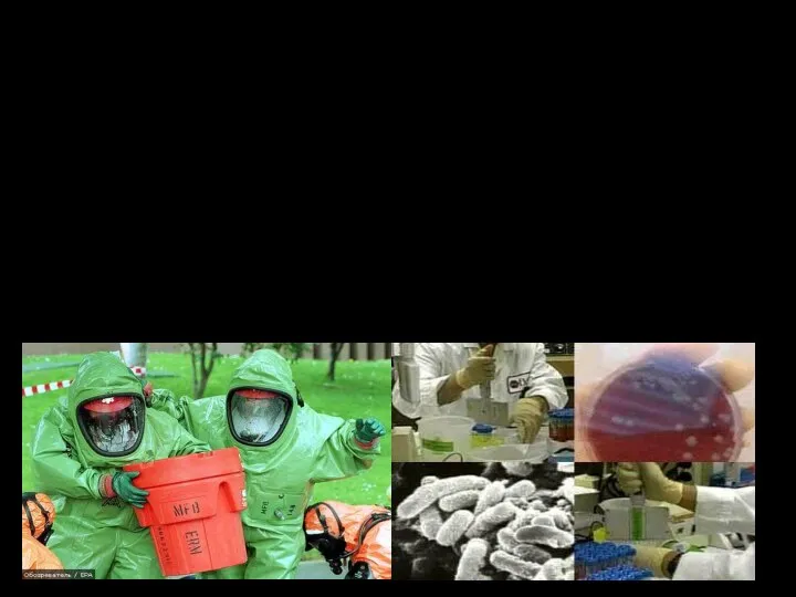 Бактериологическое оружие: специальные боеприпасы и боевые приборы со средствами доставки, снаряженные бактериальными