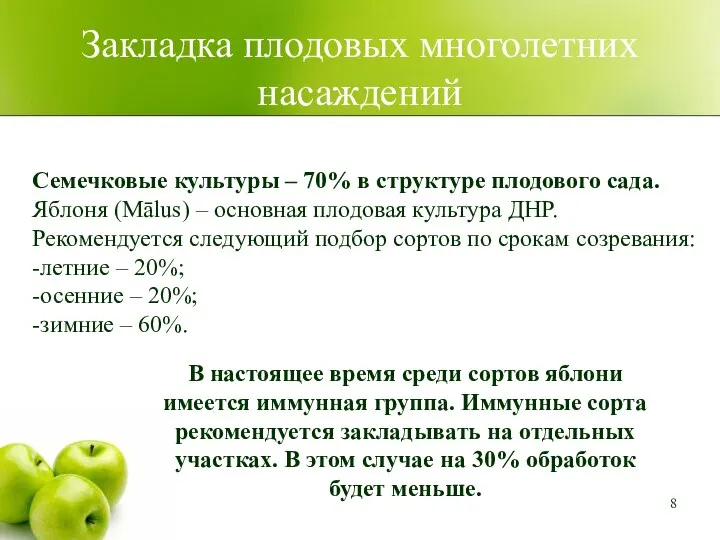 Закладка плодовых многолетних насаждений Семечковые культуры – 70% в структуре плодового сада.