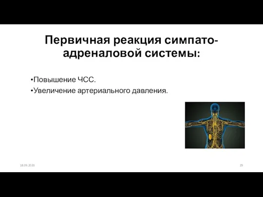 Первичная реакция симпато-адреналовой системы: Повышение ЧСС. Увеличение артериального давления. 18.09.2020