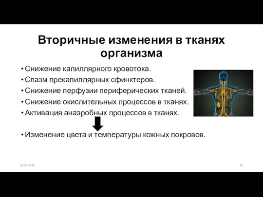 Вторичные изменения в тканях организма Снижение капиллярного кровотока. Спазм прекапиллярных сфинктеров. Снижение