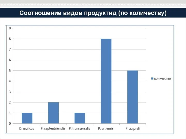 Соотношение видов продуктид (по количеству)