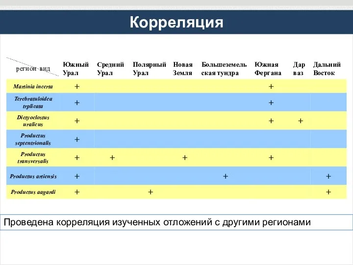 Корреляция Проведена корреляция изученных отложений с другими регионами