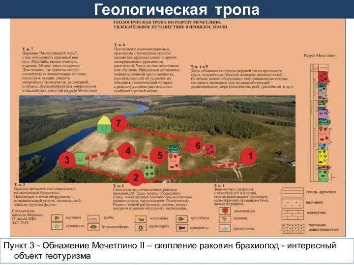 Геологическая тропа Пункт 3 - Обнажение Мечетлино II – скопление раковин брахиопод - интересный объект геотуризма