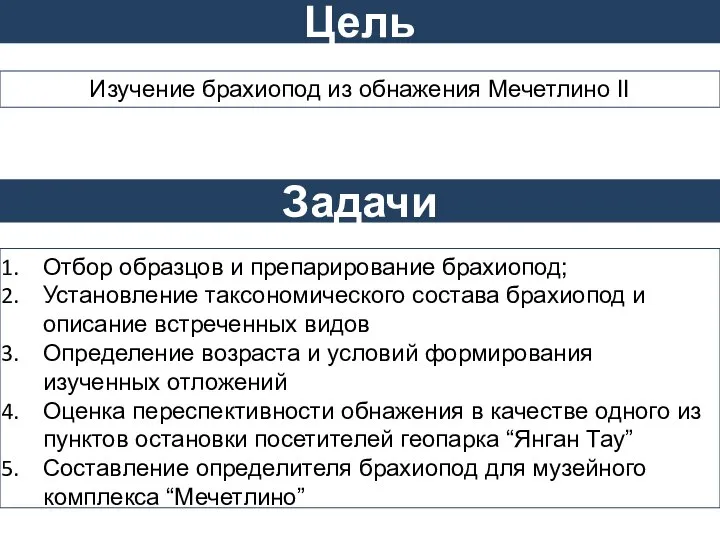 Цель Задачи Изучение брахиопод из обнажения Мечетлино II Отбор образцов и препарирование