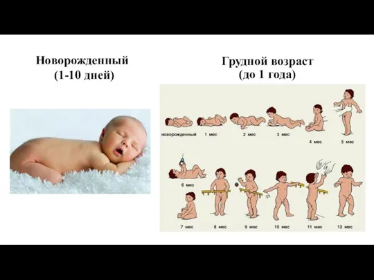 Грудной возраст (до 1 года) Новорожденный (1-10 дней)