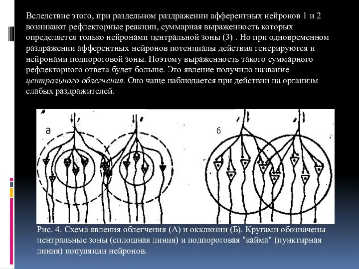 Рис. 4. Схема явления облегчения (А) и окклюзии (Б). Кругами обозначены центральные