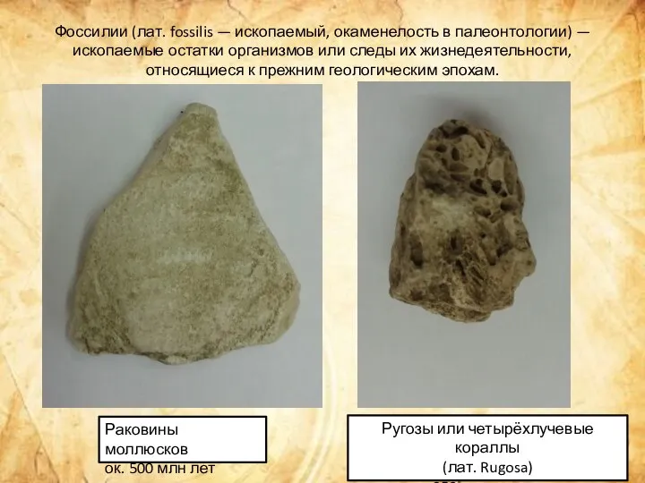 Фоссилии (лат. fossilis — ископаемый, окаменелость в палеонтологии) — ископаемые остатки организмов