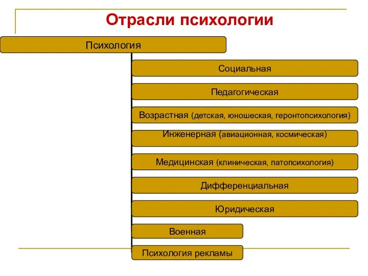 Отрасли психологии