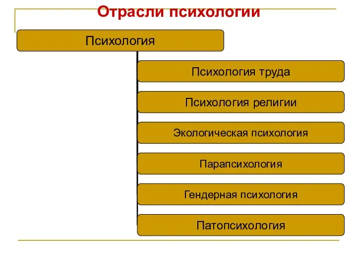 Отрасли психологии