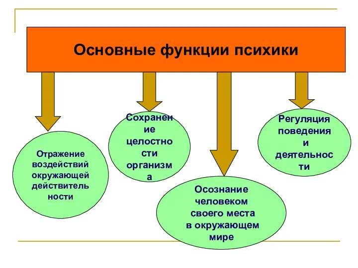 Основные функции психики Отражение воздействий окружающей действительности Осознание человеком своего места в