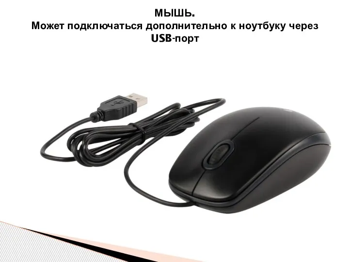 МЫШЬ. Может подключаться дополнительно к ноутбуку через USB-порт