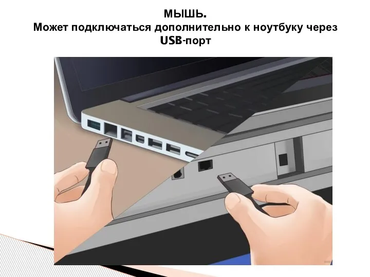 МЫШЬ. Может подключаться дополнительно к ноутбуку через USB-порт