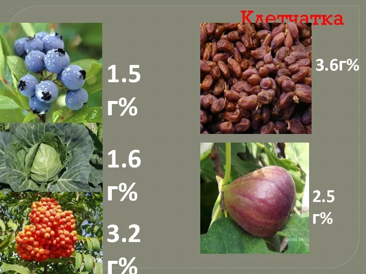 Клетчатка 1.5г% 1.6г% 3.2г% 3.6г% 2.5г%