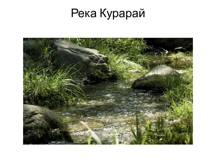 Река Курарай