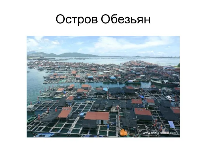 Остров Обезьян