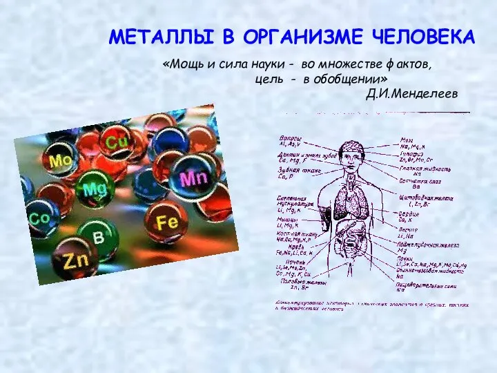 МЕТАЛЛЫ В ОРГАНИЗМЕ ЧЕЛОВЕКА «Мощь и сила науки - во множестве фактов,