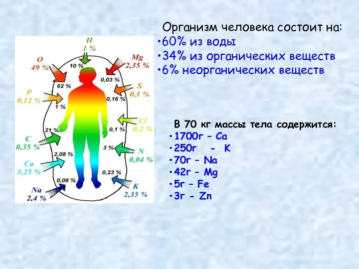 Организм человека состоит на: 60% из воды 34% из органических веществ 6%