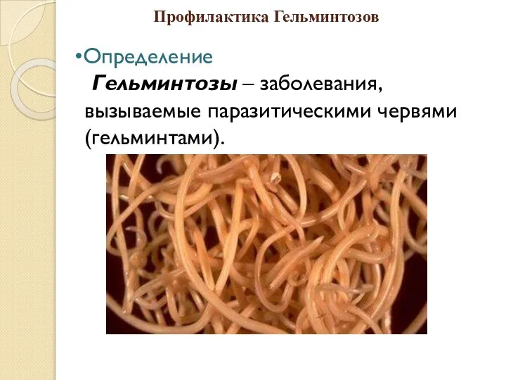 Профилактика Гельминтозов •Определение Гельминтозы – заболевания, вызываемые паразитическими червями (гельминтами).