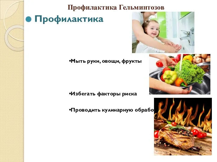 Профилактика Гельминтозов Профилактика Мыть руки, овощи, фрукты Избегать факторы риска Проводить кулинарную обработку пищи