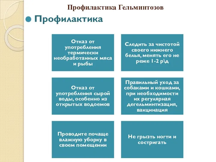 Профилактика Гельминтозов Профилактика Отказ от употребления термически необработанных мяса и рыбы Следить