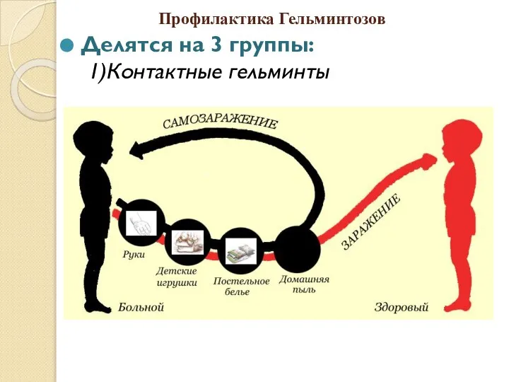 Профилактика Гельминтозов Делятся на 3 группы: 1)Контактные гельминты