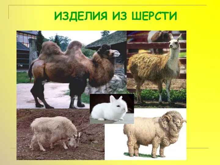 ИЗДЕЛИЯ ИЗ ШЕРСТИ