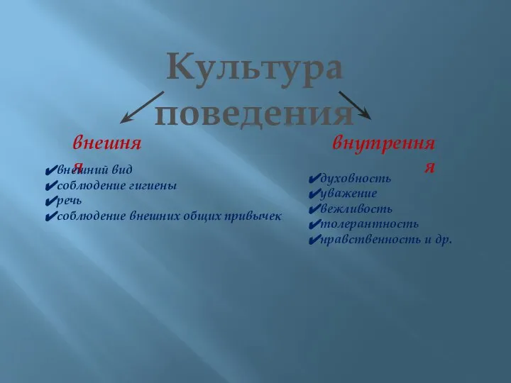 Культура поведения внешняя внутренняя внешний вид соблюдение гигиены речь соблюдение внешних общих