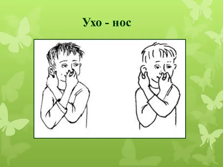 Ухо - нос