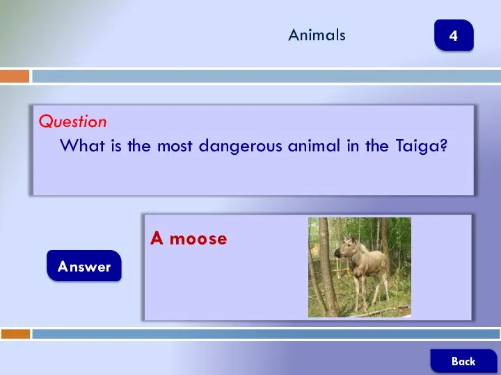 Question What is the most dangerous animal in the Taiga? Answer Animals A moose Back 4