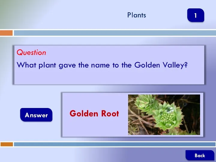 Question What plant gave the name to the Golden Valley? Answer Plants Golden Root Back 1