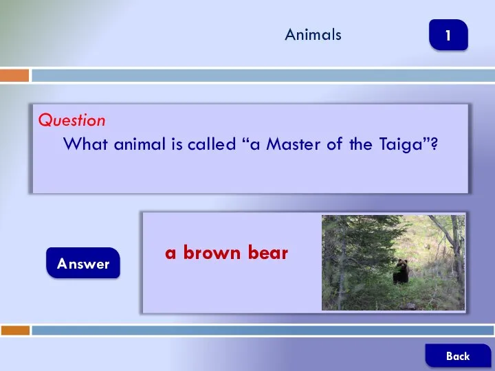 Question What animal is called “a Master of the Taiga”? Answer Animals