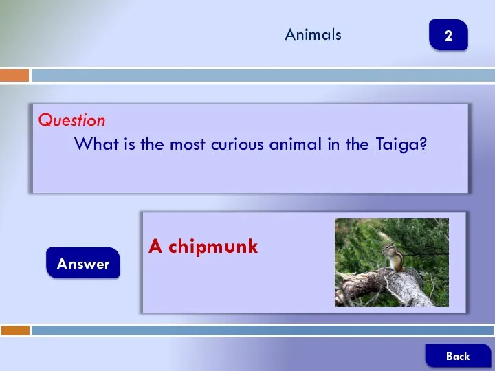 Question What is the most curious animal in the Taiga? Answer Animals A chipmunk Back 2
